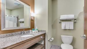 Imagen de la galería de Holiday Inn Express & Suites Lubbock Southwest – Wolfforth by IHG, en Lubbock