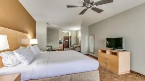 a bedroom with a large bed and a flat screen tv at Holiday Inn Express & Suites Lubbock Southwest – Wolfforth, an IHG Hotel in Lubbock