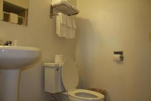 a bathroom with a toilet and a sink at Royal Inn in Mount Vernon +8 photos