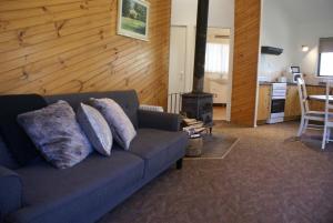 a living room with a couch and a stove at Twin Falls Bush Cottages in Fitzroy Falls