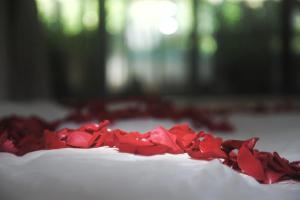 a pile of red rose petals on a cake at Zen Box House in Yangshuo