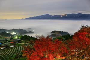 大湖鄉的住宿－楓葉地圖 ，相簿中的一張相片