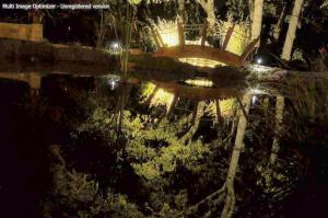 Fotografie z fotogalerie ubytování Rarumpelpunzeldornaschenwittchen v destinaci Fredericksburg
