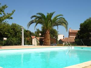 uma grande piscina com uma palmeira ao fundo em Les Bastidons em Sainte-Maxime