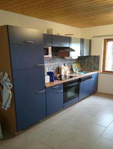 a kitchen with blue cabinets and a stove at Feriendorf "Am Forsthaus" Mosbach in Mosbach