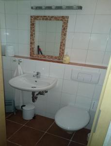 a bathroom with a sink and a toilet and a mirror at Feriendorf "Am Forsthaus" Mosbach in Mosbach