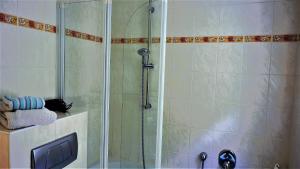 W łazience znajduje się prysznic ze szklanymi drzwiami. w obiekcie Villa Terracotta w mieście Eisenach