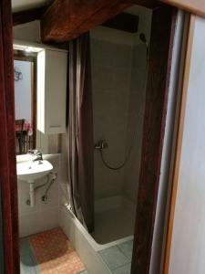 a bathroom with a shower and a sink at Seaside Villa Katrine in Banjol
