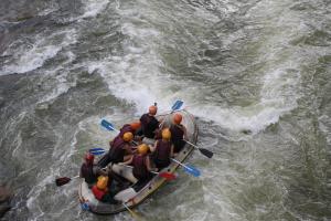 Gallery image of Rafters Retreat in Kitulgala