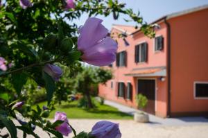 Vonkajšia záhrada v ubytovaní Villa Roza
