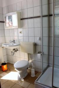 アイゼナハにあるGefildehof Göpelのバスルーム(トイレ、洗面台、シャワー付)