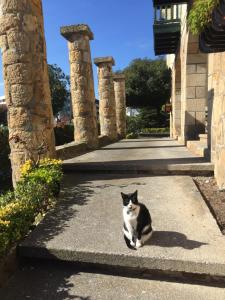 a black and white cat sitting on a sidewalk at Getxo, parking, wifi, metro in Getxo