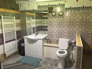 uma casa de banho com um WC, um lavatório e um espelho. em Gite *Anzi* em Arcis-sur-Aube