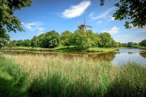 a windmill in a field next to a lake at Hotel Chalets Middelburg in Middelburg