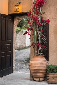 Foto da galeria de Zacosta Villa Hotel in Ilha de Rhodes