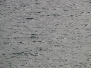 a large body of water with small waves at Marine House Andrianna -Adults only in Siviri