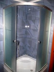La salle de bains est pourvue d'une douche avec une porte en verre. dans l'établissement Apartment on Hoholya 90, à Kropyvnytsky