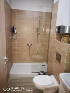 a bathroom with a tub and a toilet and a shower at Luxury Studio 42 De Silva in Mamaia