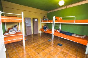 Palanda nebo palandy na pokoji v ubytování Oasis Hostel + 13 fotografií