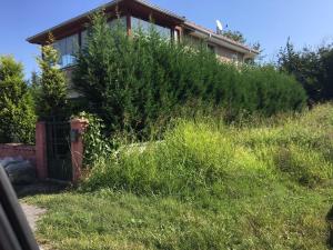 a house on top of a hill with bushes at Villa 18 Kirkpinar in Sakarya