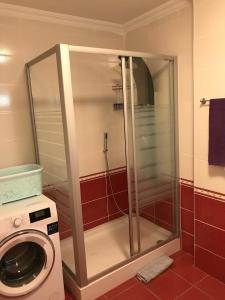 サカリヤにあるVilla 18 Kirkpinarのバスルーム(シャワー、洗濯機付)