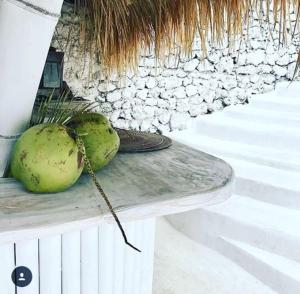 two coconuts sitting on a table next to a wall at Gravity Eco Boutique Hotel - Adults Only in Uluwatu