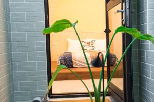 Fotografie z fotogalerie ubytování Travel Friends v destinaci Huxi