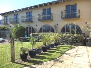 新普利茅斯德汶西街299号酒店的楼前一排盆栽植物