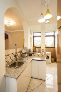 Кухня или мини-кухня в OCEANIS HOME & VOYAGES - Navette incluse en aller simple
