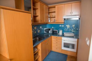 Kuchyň nebo kuchyňský kout v ubytování Apartments Vila Golf - Flucher Turizem