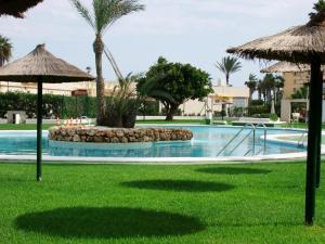 a large swimming pool with a palm tree and an umbrella at Urbanova Apartment in El Alted
