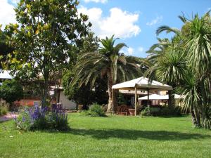 a garden with palm trees and a house with a lawn at Hotel Velcamare in Tarquinia