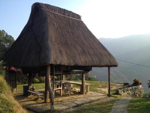 Příroda nedaleko penzionu – hostince