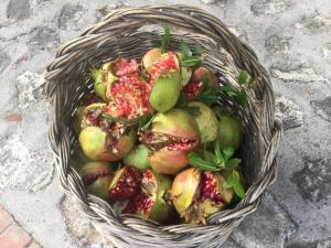 a basket full of pomegranates and pears on the ground at La Fonte in Sala Consilina