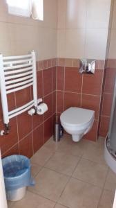 a bathroom with a toilet and a sink at Pensjonat Basia in Mielno