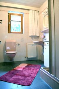 a bathroom with a pink toilet and a sink at Landhaus Schmitte in Biberwier