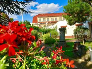 a garden with red flowers in front of a building at Hotel Celnice in Břeclav