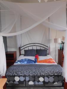 een slaapkamer met een hemelbed bij Le Havre Gourmand in Rodrigues Island