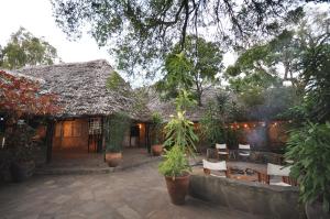 Zahrada ubytování Fig Tree Camp - Maasai Mara