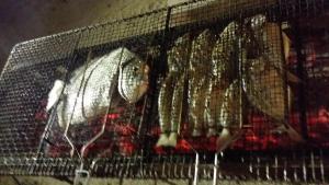 صورة لـ Pangkor Homestay Mewah في بانكور +7 صور