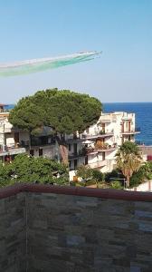 drzewo przed budynkiem z oceanem w obiekcie Residence Villa candida w mieście Giardini Naxos +36 zdjęć
