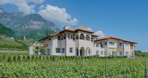 a house in a vineyard with mountains in the background at Gutshof Rellich in Termeno