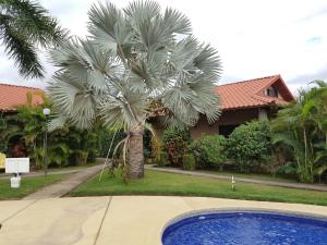 una palmera frente a una casa con piscina en Casa Claudia, en Potrero