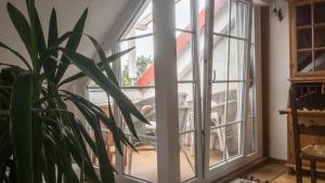 una ventana en una habitación con una planta en Private Apartment & Hannover City Altstadt, en Hannover