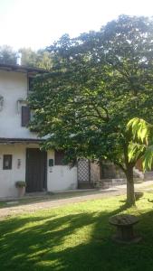 Zahrada ubytování B&B IN FATTORIA