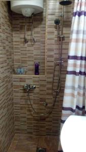 a bathroom with a shower with a hose on the wall at Apartment Mica Old Town in Sarajevo