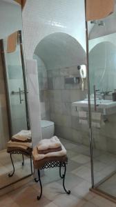 a bathroom with a shower and a toilet and a sink at Estudio Bizcocheros in Jerez de la Frontera