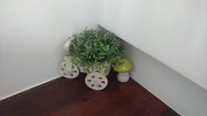 Fotografie z fotogalerie ubytování CountrySide B&B v destinaci Zhuangwei