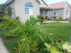 a house with a palm tree in the yard at Caymanas Estate beautiful 2 bedroom in Ellis Caymanas