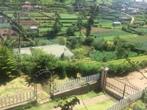 
a grassy area with a fence and trees at Perera Homestay in Nuwara Eliya
